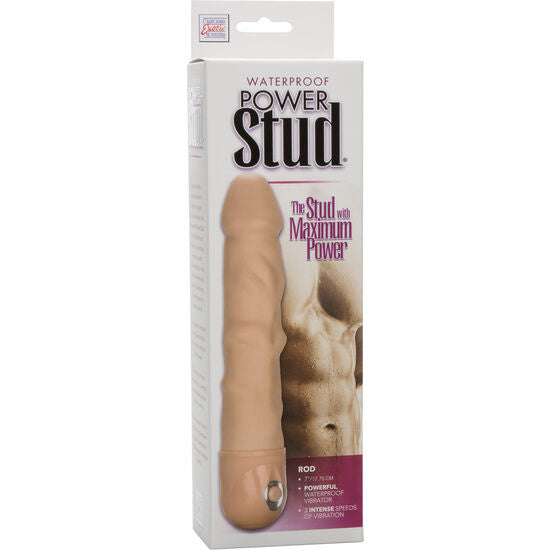 CALEXOTICS - POWER STUD STANG HUDVIBRATOR