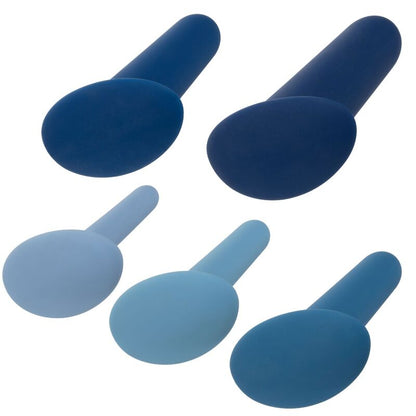 CALEXOTICS - ANALTRENINGSSETT MED BRUK OG BRUK, 5 DELER