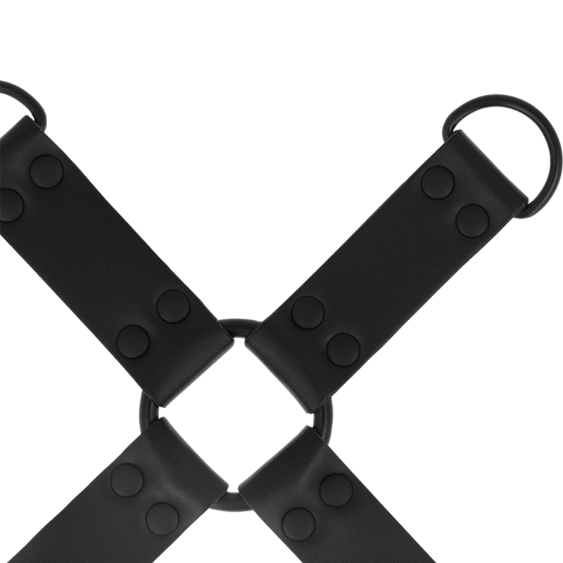 INTENS - FETISH SVINESLIPS