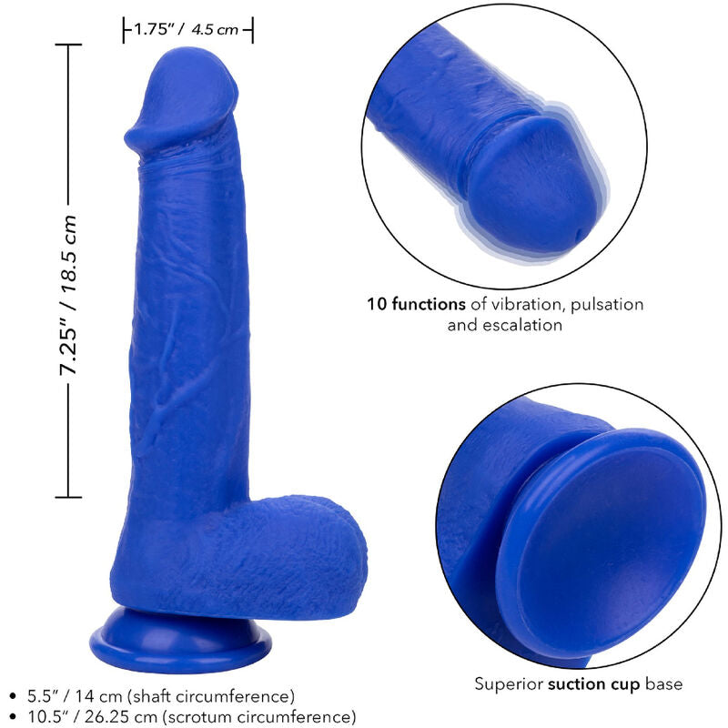 CALEXOTICS - ADMIRAL CAPTAIN REALISTISK DILDOVIBRATOR BLÅ
