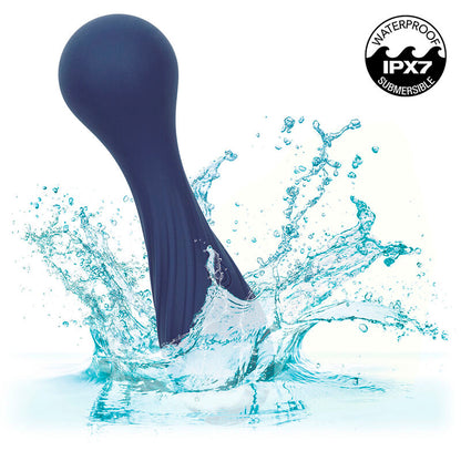 CALEXOTICS - CHARISMA TEMPTATION MASSAGER 12 FUNCTIONS PURPLE