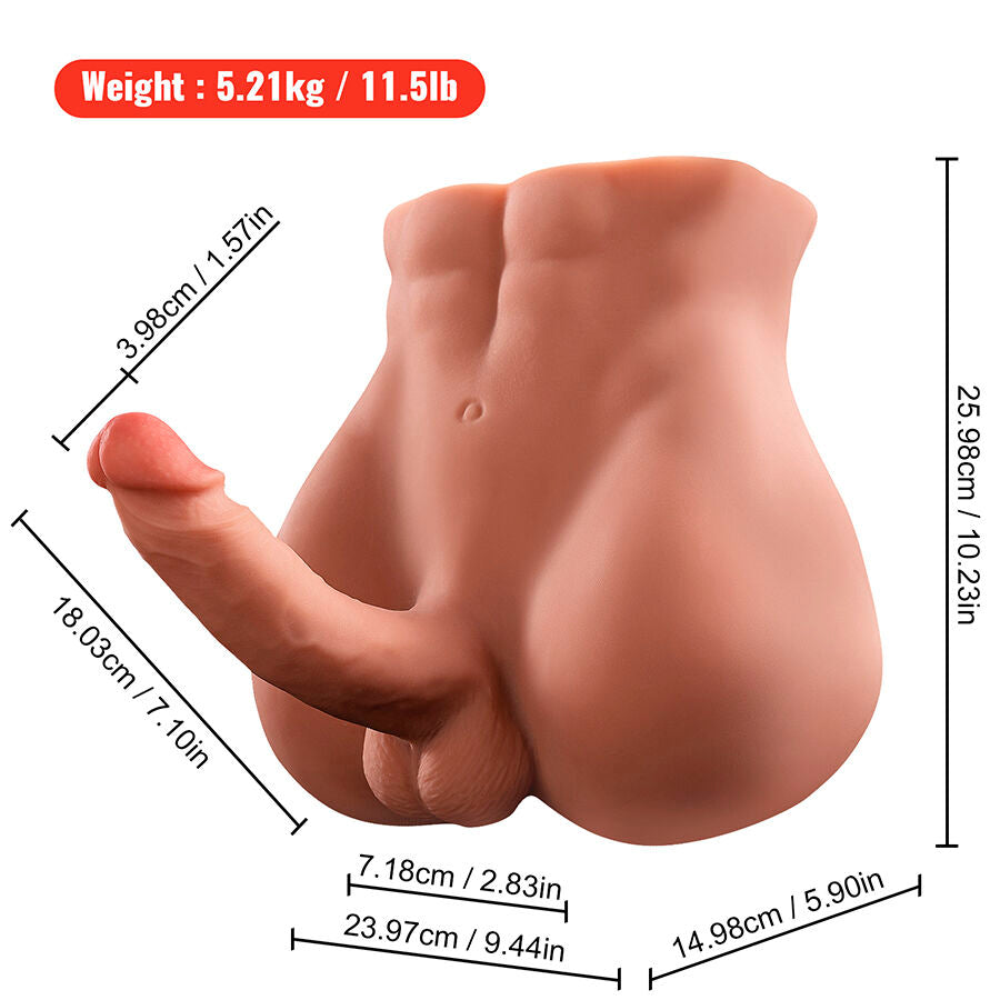 XISE - BERTLETT DILDO RUMPE REALISTISK DILDO OG ANUSMASTURBATOR FORAN POSISJON MED STYK 18 CM
