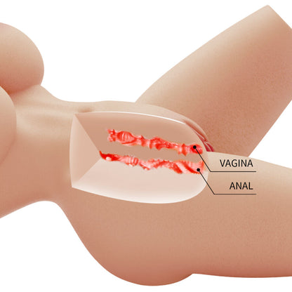 CRAZY BULL - LILY REALISTISK KVINNETORSO VAGIN OG ANAL 4 KG