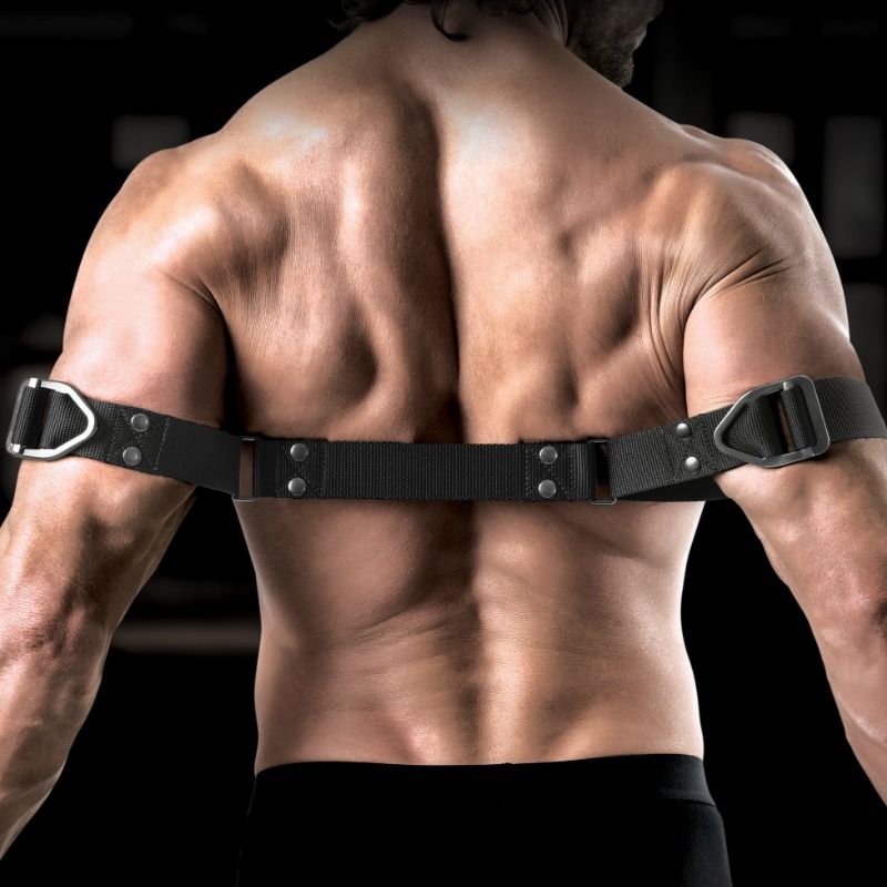 SIR RICHARDS – KOMMANDO BICEPSBØYER