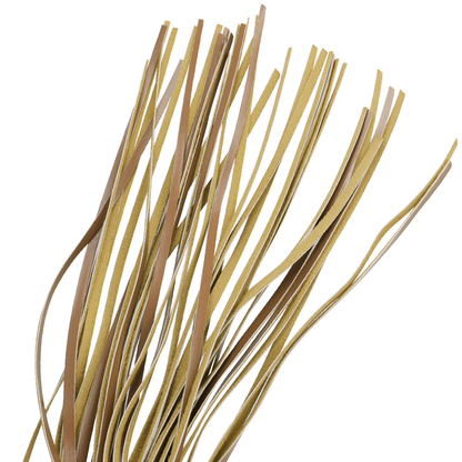 FETISK UNDERORDEN ORIGEN - VEGANSK SKINNPISK